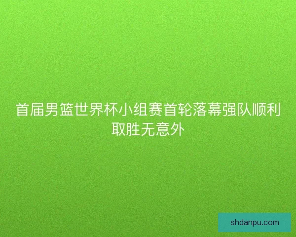 首届男篮世界杯小组赛首轮落幕强队顺利取胜无意外
