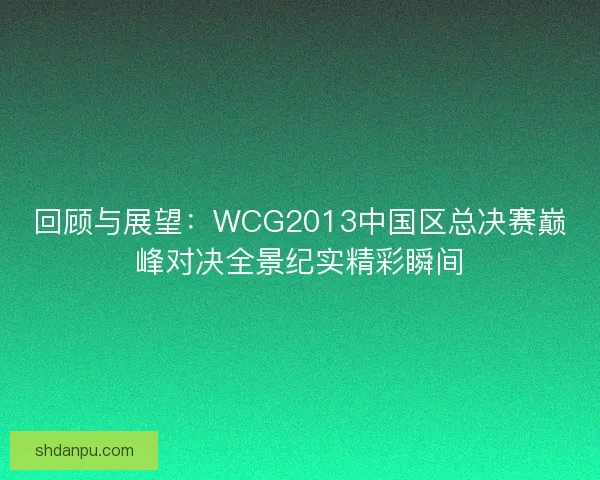 回顾与展望：WCG2013中国区总决赛巅峰对决全景纪实精彩瞬间